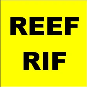 KM102 - Reef