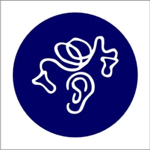 KM119 - Ear Plugs