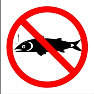 KM144 - No Fishing