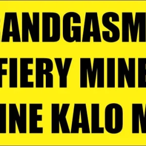 KM217 - Brandgamyn